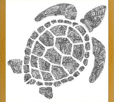Cuadro Tortuga2