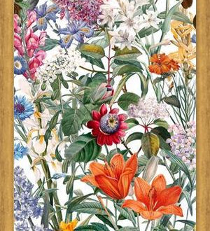 Cuadro Vintage Garden IX