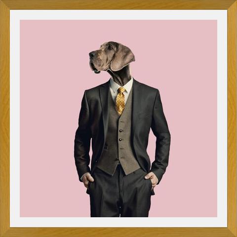 Cuadro Dog