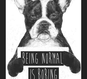 Cuadro Being normal is Boring