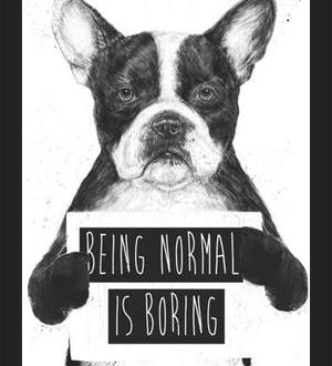 Cuadro Being normal is Boring