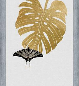 Cuadro Butterfly and Monstera Leaf