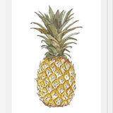 Cuadro PIÑA