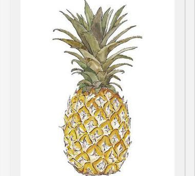 Cuadro PIÑA