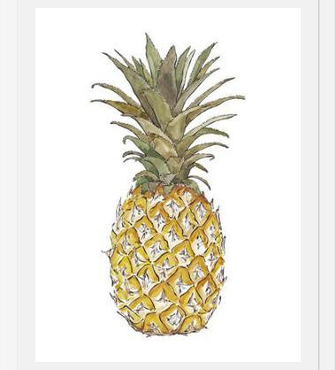 Cuadro PIÑA