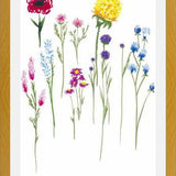 Cuadro Naturaleza