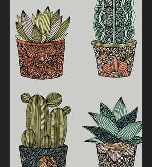 Cuadro Little cactus