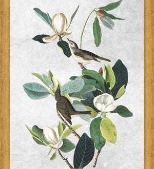 Cuadro Botanical print