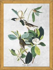 Cuadro Botanical print