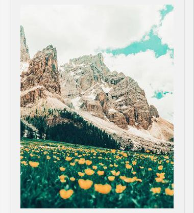 Cuadro Hillside Meadow