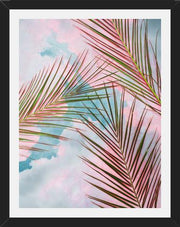Cuadro Palms + Sky