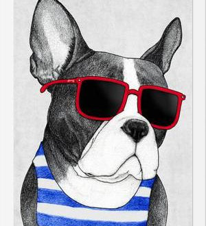 Cuadro Frenchie Summer Style
