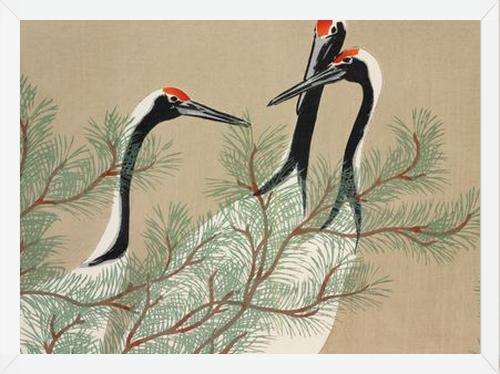 Cuadro Chinese Birds