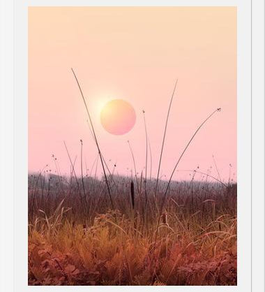 Cuadro Landscape & gradients XII