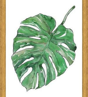 Cuadro Monstera Deliciosa