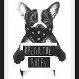 Cuadro Rebel Dog