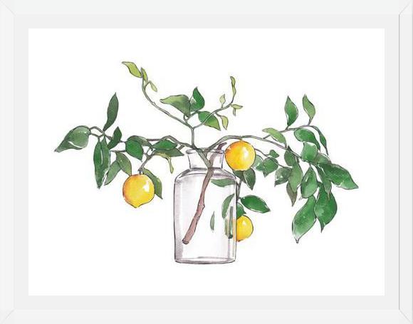 Cuadro Lemon Branch