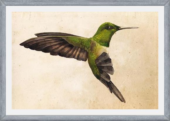 Cuadro Colibrí Verde Acuarela
