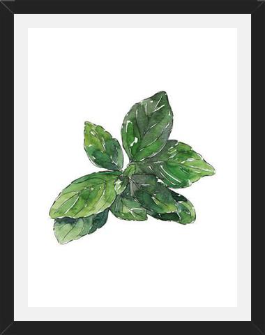 Cuadro ALBAHACA