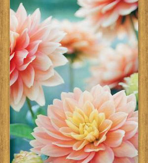 Cuadro Happy Flowers