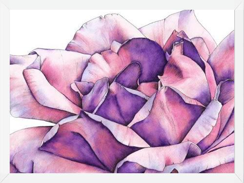 Cuadro Rosa