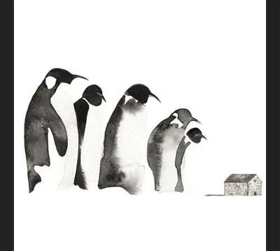 Cuadro Emperor penguin