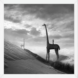 Cuadro Giraffes