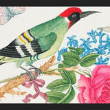 Cuadro Pájaro carpintero