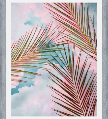 Cuadro Palms + Sky