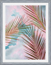 Cuadro Palms + Sky