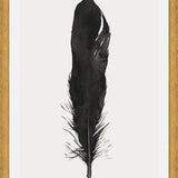 Cuadro Pluma Acuarela 1