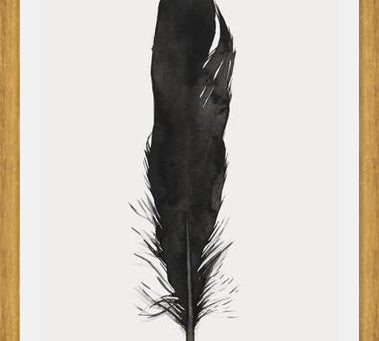 Cuadro Pluma Acuarela 1