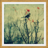 Cuadro Autumn Bird
