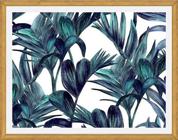 Cuadro tropical