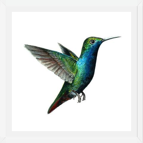 Cuadro Picaflor