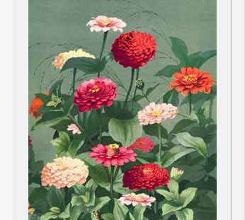 Cuadro Flores
