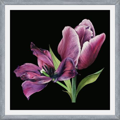 Cuadro Pareja de tulipanes