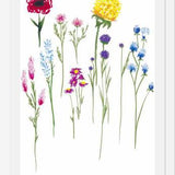 Cuadro Naturaleza
