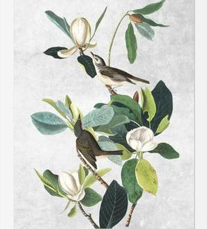 Cuadro Botanical print