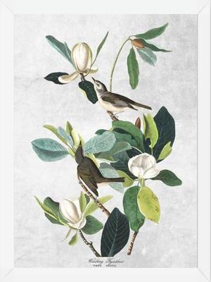 Cuadro Botanical print