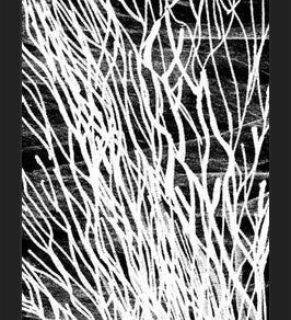 Cuadro Colección Texturas del Desierto - 3