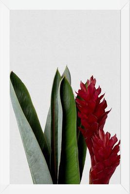 Cuadro Red Flower