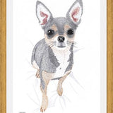 Cuadro Chihuahua