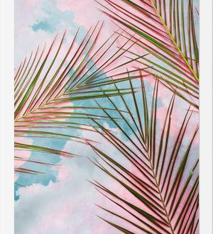 Cuadro Palms + Sky