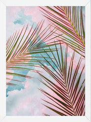 Cuadro Palms + Sky