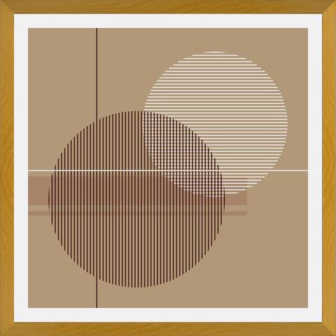 Cuadro Transparent Circles with Lines