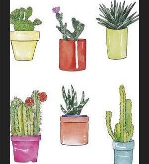 Cuadro CACTUS & PASTEL
