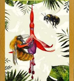 Cuadro Bombus