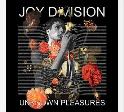 Cuadro Joy Division