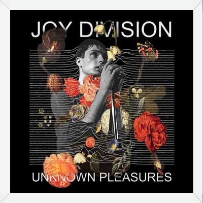 Cuadro Joy Division